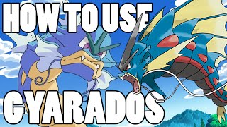 How To Use MEGA Gyarados and Gyarados Gyarados Strategy Guide ORAS  XY [upl. by Aholah473]