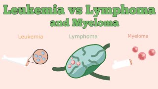 Leukemia vs Lymphoma vs Myeloma [upl. by Yerac]