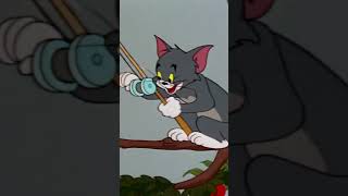 Mierendiefstal  Tom and Jerry  Cartoon Network Shorts [upl. by Arenahs701]