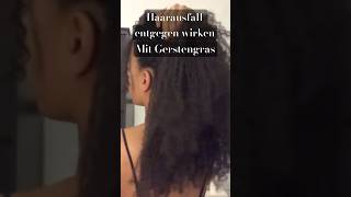 Haarausfall entgegenwirken mit Gerstengras 🌿Lange gesunde Afrohaare 🥰 afrohair naturalhair [upl. by Jacquelin]