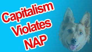 Capitalism Violates NAP  Radical Reviewer [upl. by Valdemar]