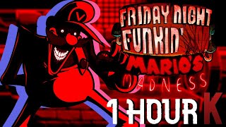 Paranoia  Friday Night Funkin FULL SONG 1 HOUR [upl. by Eened23]