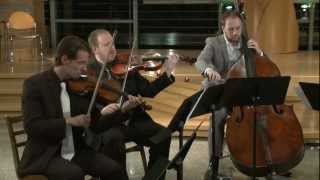 Binaural Audio  Winter Vivaldi The Four Seasons H [upl. by Koral339]