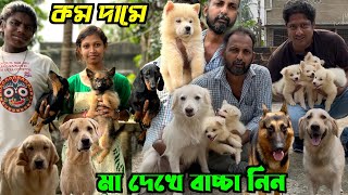 Puppies Sell in Low Price Dog Market in Kolkata Price Kolkata Dog Market [upl. by Ybanrab982]