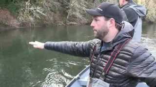 Olympic Peninsula Steelhead [upl. by Pippas]