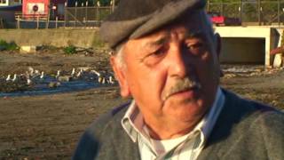 REPORTAJE TERREMOTO 1960 ANCUD [upl. by Firmin]