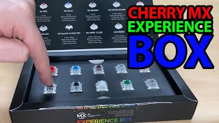 Unboxing amp Testing Cherry MX Experience Box – Which Switch Is Right for You [upl. by Akeihsal]