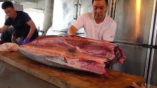 10000 Luxurious Otoro amp Akami Cutting from Giant Bluefin Tuna – Master Sushi Skill [upl. by Cioban]