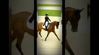 Equestrian Dressage Olympics 2024 In Star Stable😱  Sso Short  Sso Edit sso equestrian horse [upl. by Aihn]