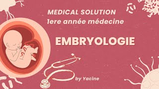 Embryologie part 1  Introduction [upl. by Esahc738]