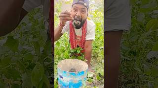 Dont waste food You should always keep it So Halal Mode 😃👍dontwaste food asmr [upl. by Tobie]