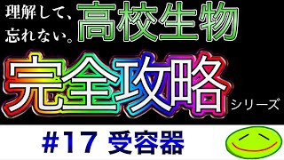 17 受容器ロドプシン、レチナール、オプシン、桿体細胞、錐体細胞、チン小帯、毛様体、水晶体、網膜、脈絡膜、コルチ器、基底膜、うずまき管、半規管、前庭、 大学受験 高校生物 [upl. by Iridissa]