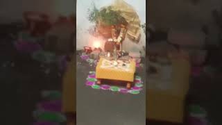 Tulsi Vivah video🙏🙏🙏🙏🙏 [upl. by Mercado32]