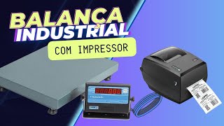 BALANÇA INDUSTRIAL COM IMPRESSOR  MICHELETTI  ELGIN L42 PRO AcademiaBematech GrupoElgin [upl. by Nnaynaffit697]