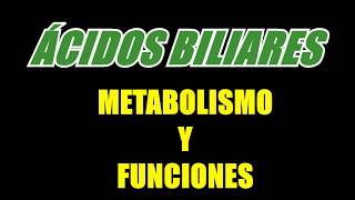 Ácidos biliares  Metabolismo y Funciones [upl. by Dedra389]