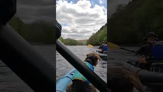 Relaxing paddle on the French Creek with dogs shorts [upl. by Annaoi]