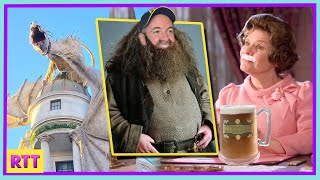 Disney Fans React to Harry Potter World [upl. by Ymarej772]