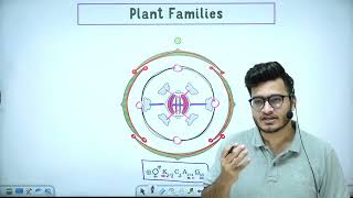 L7 Plant Families Fabaceae Solanaceae amp Liliaceae  Morphology in Flowering Plants 11th Class [upl. by Dolli]