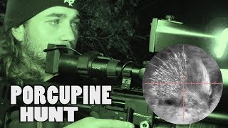 Porcupine Hunt with NIGHT VISION  Airgun Pest Control ReUpload [upl. by Merrili]