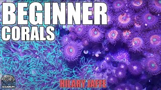 Corals BEGINNERS Can Learn From  GSP Green Star Polyp Candy Cane Rock Flower Anemones Mushrooms [upl. by Haraj]