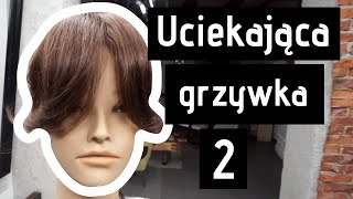 Jak zrobić grzywkę uciekającą na boki  technika na mokro Tutorial  Fengii Fundament [upl. by Nodlew]