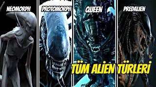 Alien Serisi Bütün Xenomorph Türleri [upl. by Einnhoj]