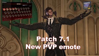 FF14  new emote quotAttendquot [upl. by Gaskin]