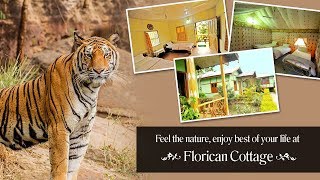 Florican Cottage  Manas National Park [upl. by Noelopan935]