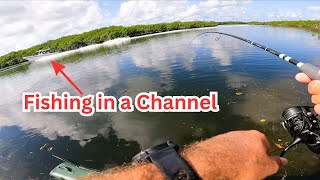 Fishing Channels amp Mangroves in the Keys Catch amp Cook [upl. by Edobalo]