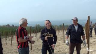 Live from the vineyard with Roberto Voerzio  puntata 3 [upl. by Cheshire]