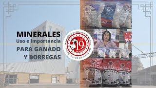 MINERALES PARA GANADO DE ENGORDA [upl. by Fonville]