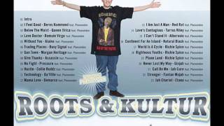 Phenomden  RootsampKultur  Hustle Feat Collie Buddz [upl. by Dzoba]