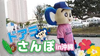 【マスコットチャンネル】ドアラのお散歩 in 沖縄キャンプ！！！ [upl. by Pearse]