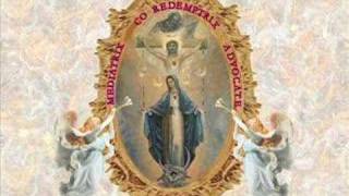 Salve Regina Virgini Immaculata [upl. by Analihp411]