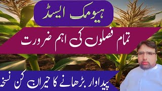 Benefits of Humic Acid Use of Humic Acid in CropsGhulam Shabeer Velogs [upl. by Charmaine]