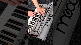 Moog Subsequent 37 CV Synth  Inspiring sounds and harmonics 🎹 moog subsequent37 synth [upl. by Linders52]