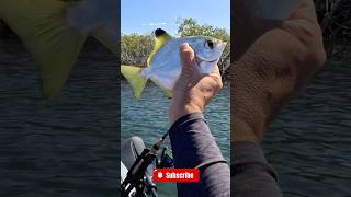 Kayak fishing on new Hand Caster REEL [upl. by Cassi163]