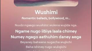 Wushimi Wuhimi  New Mishmi Song  New Song  Arunachal Pradesh  Arunachal Arunachalancestry [upl. by Padraig]