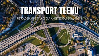 Kurs fizjologii Odc 1 Układ oddechowy  transport tlenu [upl. by Yeniffit]