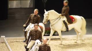 The Spanish Riding School of Vienna 01 [upl. by Gotthelf999]