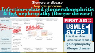 Nephritic syndrome Infectionrelated glomerulonephritis amp IgA nephropathy Berger disease in Hindi [upl. by Lehplar]