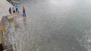 Amazing scenes of Mackerel Breaking in Youghal Co Cork [upl. by Bonine]