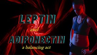 Leptin and Adiponectin a balancing act [upl. by Suoicul846]