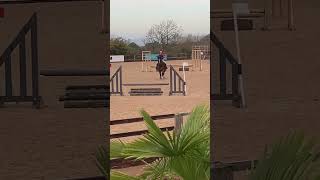 Whizzy show jumping  Blake  qualified for national pony finals [upl. by Onek916]