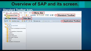 01 SAP Screen Navigation [upl. by Artie532]