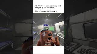 motivational chinese beaver lethalcompany chinese beaver memes meme funny tiktok gaming [upl. by Eriha]