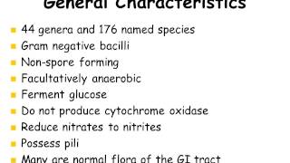 Part 1 Enterobacteriaceae 1 [upl. by Ardys799]