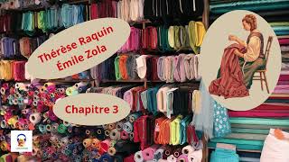 Thérèse Raquin  Émile Zola  Chapitre 3  Livre Audio Gratuit [upl. by Terpstra749]