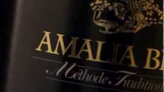 Amalia Brut spot [upl. by Wilhide]