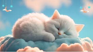 Relaxing Music for Cats LIVE 247 Peaceful Piano Music with Cat Purring SoundsSleepy Cat EPB 339 [upl. by Forras]